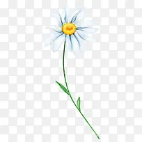 水墨油画水彩花朵-空若网 水墨油画水彩花朵-空若网