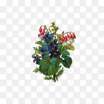 花卉元素-空若网 花卉元素-空若网