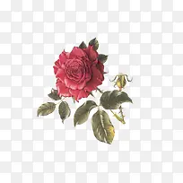 õ�廨�ͻ�-������