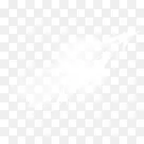 白色漂亮羽毛-空若网 白色漂亮羽毛-空若网