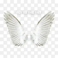 羽绒翅膀-空若网 羽绒翅膀-空若网