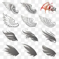 动物翅膀-空若网 动物翅膀-空若网