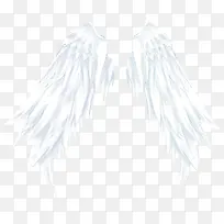 白色天使翅膀-空若网 白色天使翅膀-空若网
