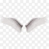 ��ɫ���-������