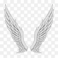 ��ɫ���-������