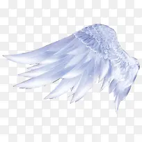 高清白色羽毛翅膀-空若网 高清白色羽毛翅膀-空若网