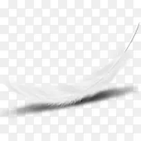 白色高清羽毛海报-空若网 白色高清羽毛海报-空若网