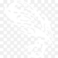 手绘白色婚礼羽毛-空若网 手绘白色婚礼羽毛-空若网