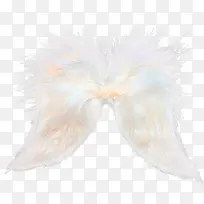 白色羽毛-空若网 白色羽毛-空若网