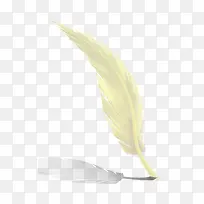 ��ɫ��ë-������