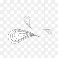 白色羽毛-空若网 白色羽毛-空若网