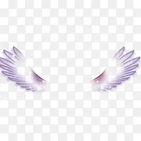 ��ɫ���-������