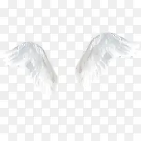 白色翅膀-空若网 白色翅膀-空若网