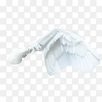 ��ë-������