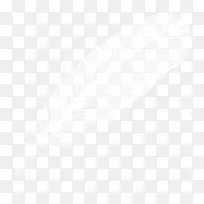 白色羽毛-空若网 白色羽毛-空若网