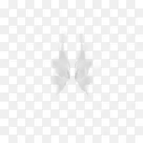 翅膀-空若网 翅膀-空若网