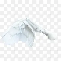 ��ɫ���-������