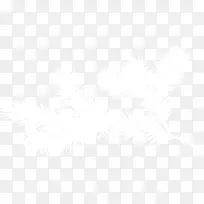 ��ɫ��ë-������