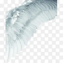 ���-������