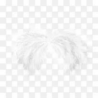 翅膀-空若网 翅膀-空若网