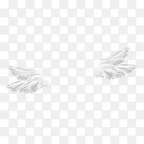 翅膀-空若网 翅膀-空若网