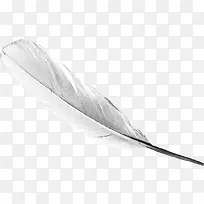 ��ɫ��ë-������