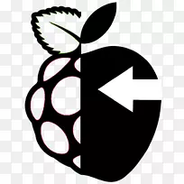 raspberry pi电脑图标-空若网 raspberry pi电脑图标-空若网
