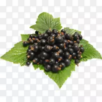 红醋栗黑醋栗果力饮料浆果蓝莓-空若网 红醋栗黑醋栗果力饮料浆果蓝莓-空若网