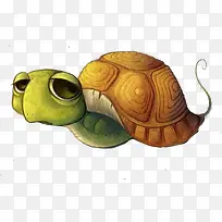卡通乌龟-空若网 卡通乌龟-空若网
