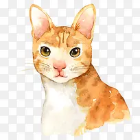 卡通可爱小动物装饰动物头像-空若网 卡通可爱小动物装饰动物头像-空若网