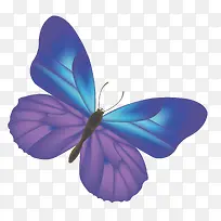 卡通可爱小动物装饰设计动物头像-空若网 卡通可爱小动物装饰设计动物头像-空若网