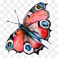 ��ͨ�ɰ�С����װ����ƶ���ͷ��-������