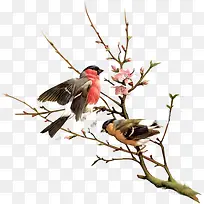 ����ͼ��-������