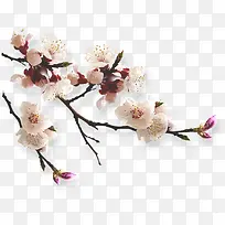 �������·�ɫ�һ���֦-������