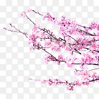 春天粉色树枝桃花装饰-空若网 春天粉色树枝桃花装饰-空若网