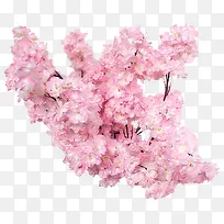 春天粉色树枝桃花-空若网 春天粉色树枝桃花-空若网