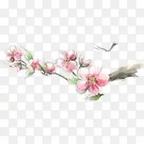 粉色文艺古风桃花树枝-空若网 粉色文艺古风桃花树枝-空若网