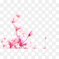 粉色水彩桃花盛开-空若网 粉色水彩桃花盛开-空若网