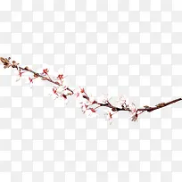 �ʻ��һ���֦����-������