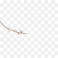 粉色桃花树枝素材-空若网 粉色桃花树枝素材-空若网