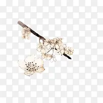 水彩桃花黑色树枝-空若网 水彩桃花黑色树枝-空若网