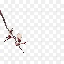 古风桃花长树枝-空若网 古风桃花长树枝-空若网