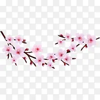 ��ͨ�һ���֦װ��-������