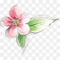 ��ɫ�ɰ��ֻ��һ�-������