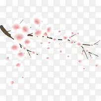 ʸ���ֻ��һ��ز�-������