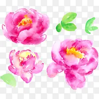 ˮ���һ�-������