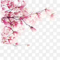 ���⺣��Ч����֦�һ�-������