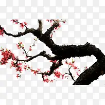 �һ���װ��-������