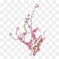 桃花素材-空若网 桃花素材-空若网