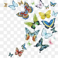 矢量水彩手绘蝴蝶-空若网 矢量水彩手绘蝴蝶-空若网